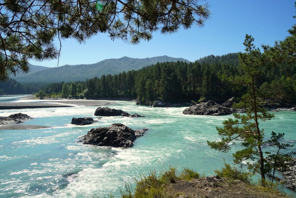 Türkisblauer rauschender Fluss im Altai Gebirge
