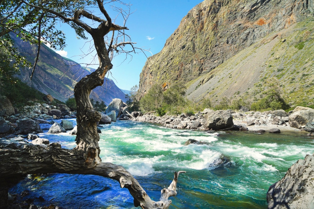 Rauschender Fluss im Altai