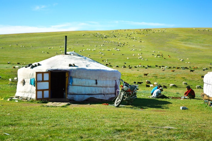 Nomaden neben ihrer Jurte mit ihrer Schafherde auf einem grünen Hügel